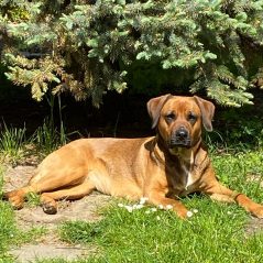 Alltagsbegleitung Calauer Glück Frank Ihlow